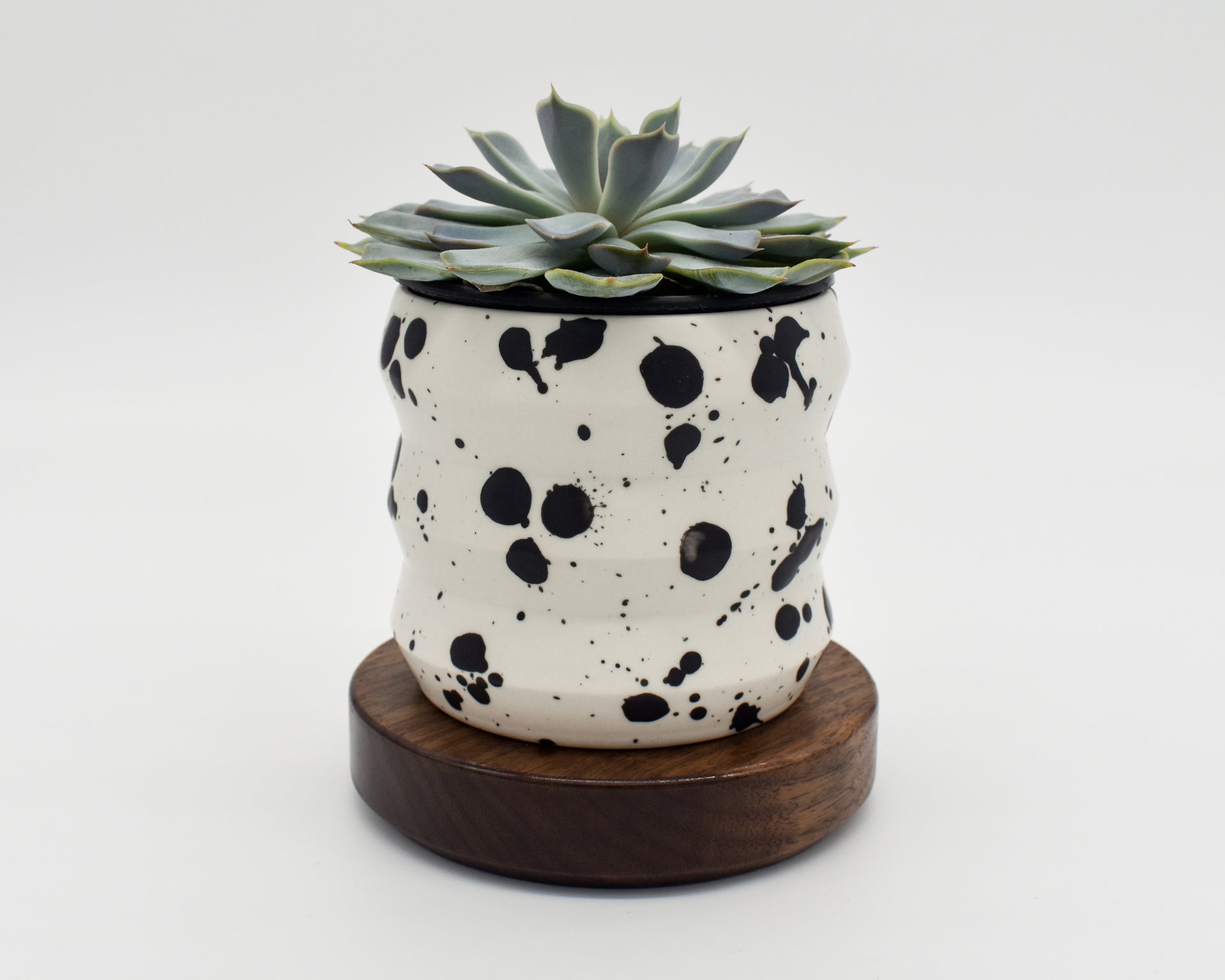 plant 5 gallon pot risers 5 inch Plant Riser